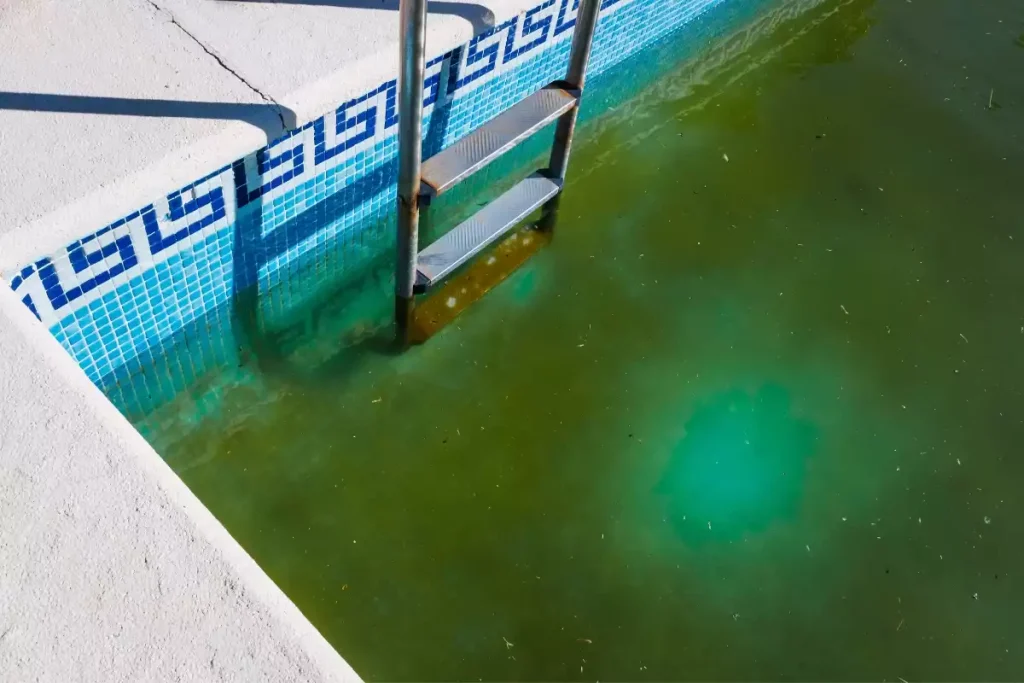 eau verte de piscine