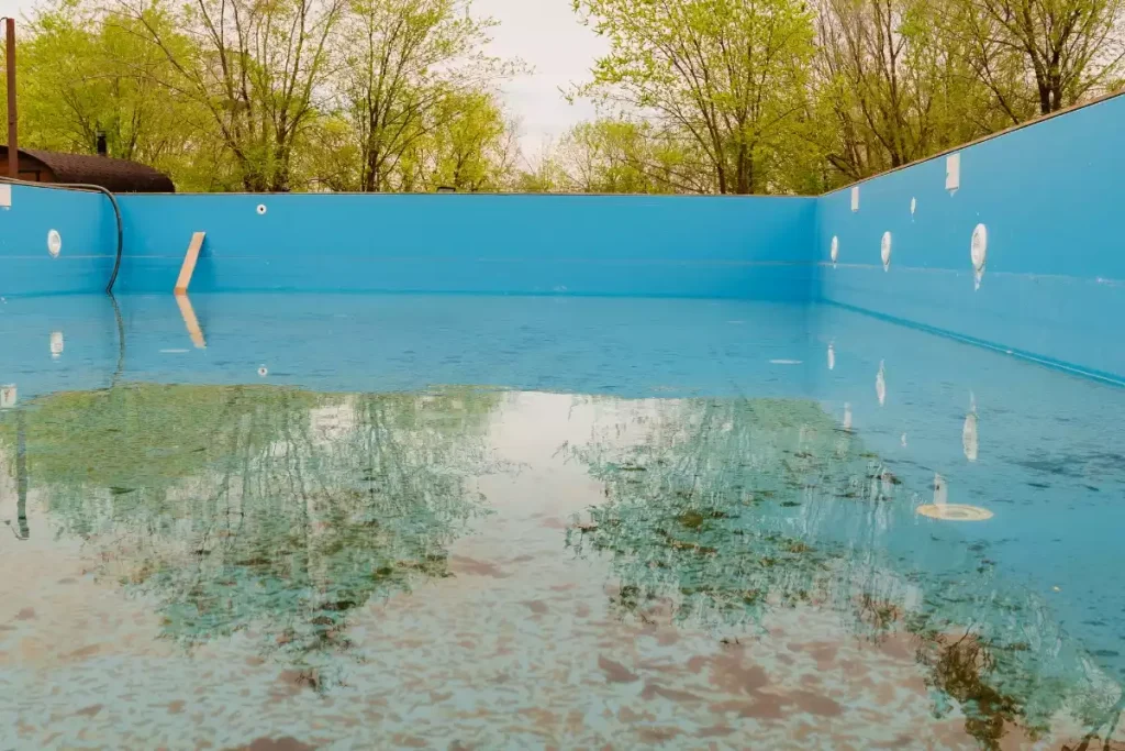 piscine eau verte