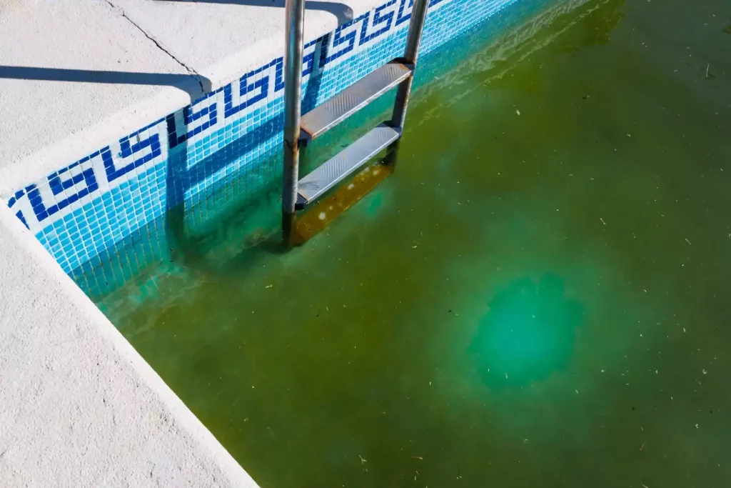 Le plan d’attaque pour retrouver une piscine claire