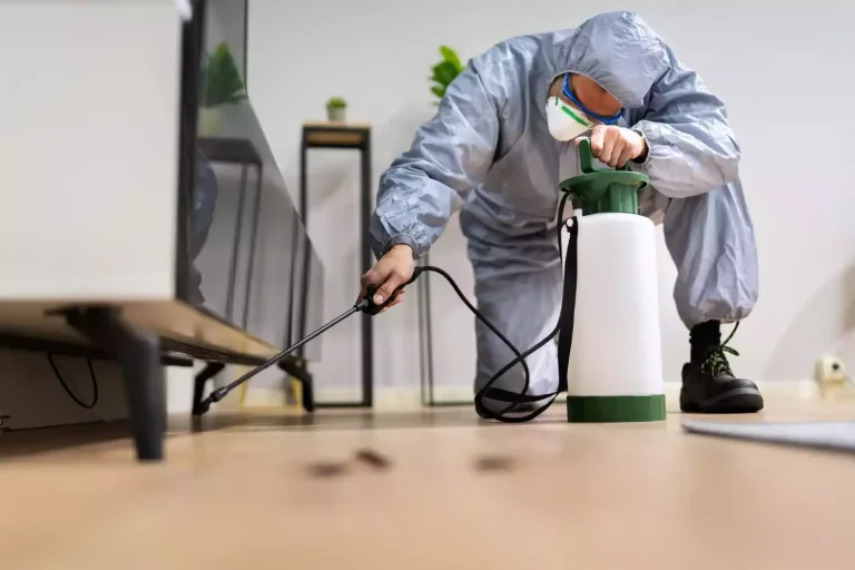 Désinsectisation à Lardy : comment éradiquer durablement les insectes chez vous