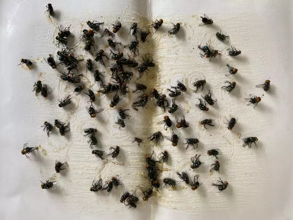 Les précautions avant de ranger ses affaires