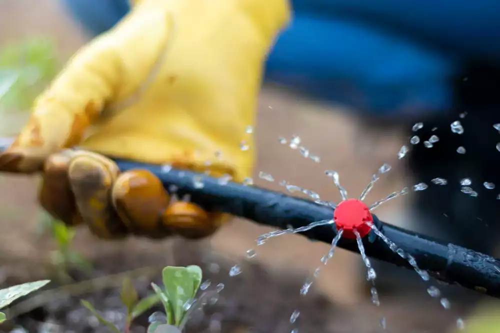 Quelles sont les vraies forces du goutte-à-goutte ?